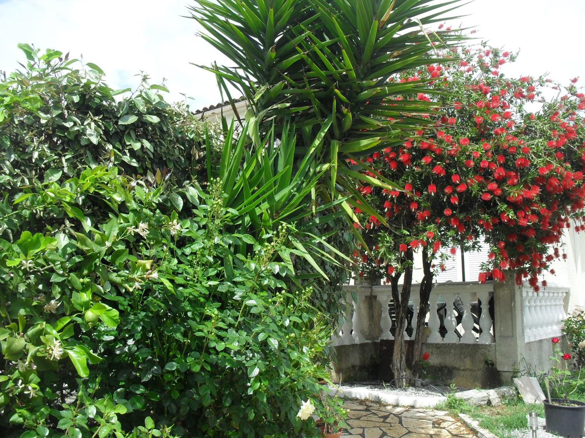 Veronique Bed & Breakfast Appietto ภายนอก รูปภาพ